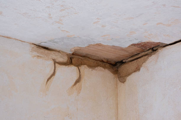 Best Fire Damage Restoration  in Belville, NC