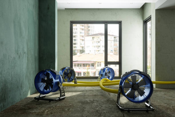 Best Professional water damage repair  in Belville, NC
